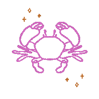 secondbitecreative celebration birthday star stars Sticker