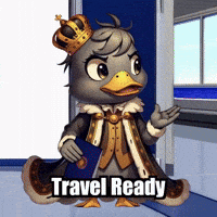 Travel Vacation GIF by sirduckbeth