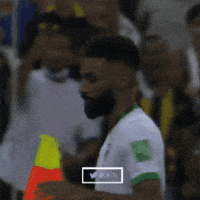 World Cup GIF