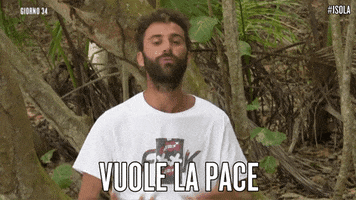luca isola14 GIF by Isola dei Famosi