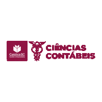 Contabilidade Estudante Sticker by Católica SC