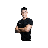 steedfitness steedfitness steed fitness steedfitnesschippendale ponysteedfitness Sticker