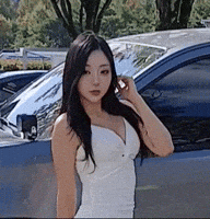 Model GIF