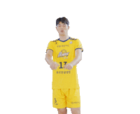 Kb스타즈 Sticker by KB STARS VOLLEYBALL CLUB