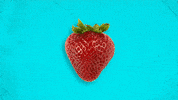 orange fruit GIF by University of California