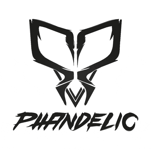 phandelic giphyupload epic hardstyle gabber GIF