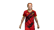 Womens Football Sticker by Royal Belgian FA