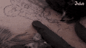 Mma Ufc GIF by TJ Dillashaw