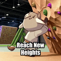Gym Challenge GIF by Masterfurdinand