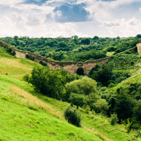 maryhuntly giphygifmaker giphyattribution mary huntly GIF