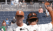 Baseball College GIF by NCAA Championships