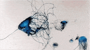 art motion GIF by KR