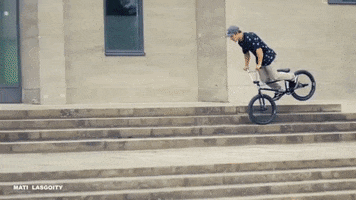 Youtube Bike GIF by woozyBMX