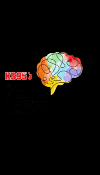 KS95FM music radio mn hutch GIF