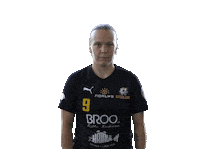Steelers Floorball Sticker by F-liiga
