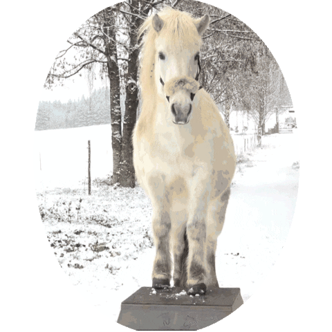 Horse Sticker by SandraFencl