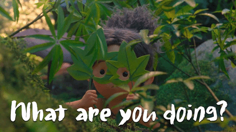 Whatareyoudoing GIF by Tonko House