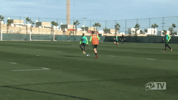 werder werderbremen GIF