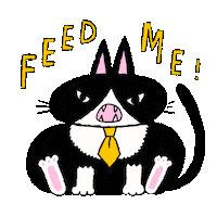 minstudio cat hungry kitten hangry Sticker