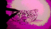 loop pink GIF by ProfessorLightWAV