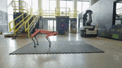 Robot Spot GIF by BostonDynamics
