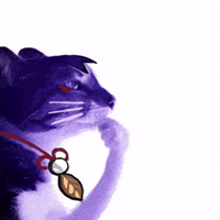 Wanderer Mihoyo GIF