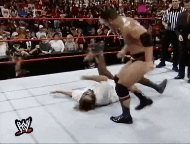 The Rock Mankind GIF by WWE