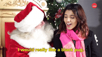 I Would Really Like a Black Pug