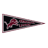 Central Lions Sticker by GPB Sports