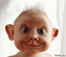 Funny GIF