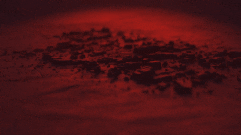 Ride Dirty GIF by Dirtbag Brands