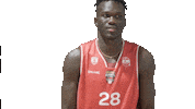 EuroMillionsBasketball happy celebration basketball celebrate Sticker