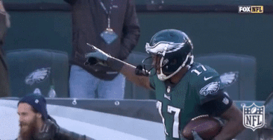 philadelphia eagles football GIF by NFL