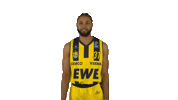 Ewe Baskets Basketball Sticker by EWE Baskets Oldenburg
