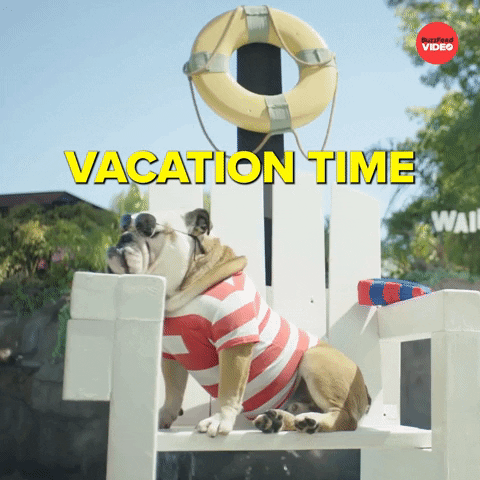 Summer Time GIF by BuzzFeed