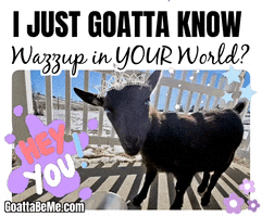 GoattaBeMe hello hi animals whats up GIF