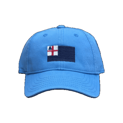 Junebugcharlestown giphygifmaker boston junebug charlestown Sticker