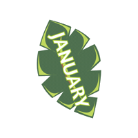 Plant Based Plants Sticker by vitaveg eco packaging