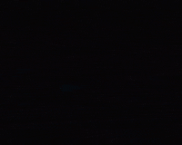 Animation Pink GIF by Rogue Ales & Spirits