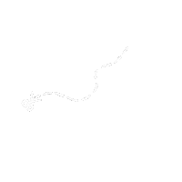 jomariedominiak white line alone lines Sticker