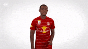 Red Bull Time GIF by FC Red Bull Salzburg