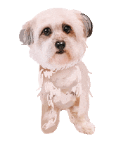 Dog Sticker