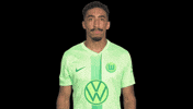 Happy Party GIF by VfL Wolfsburg