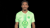 Bundesliga No GIF by VfL Wolfsburg