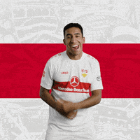 Happy Dance GIF by VfB Stuttgart