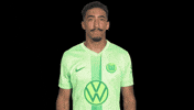 Heart Love GIF by VfL Wolfsburg
