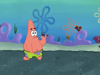 season 6 episode 13 GIF by SpongeBob SquarePants