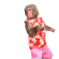 Fun Wow Sticker