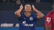 Football Soccer GIF by FC Schalke 04