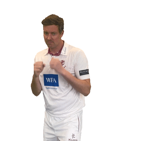Ball Boxing Sticker by Somerset County Cricket Club